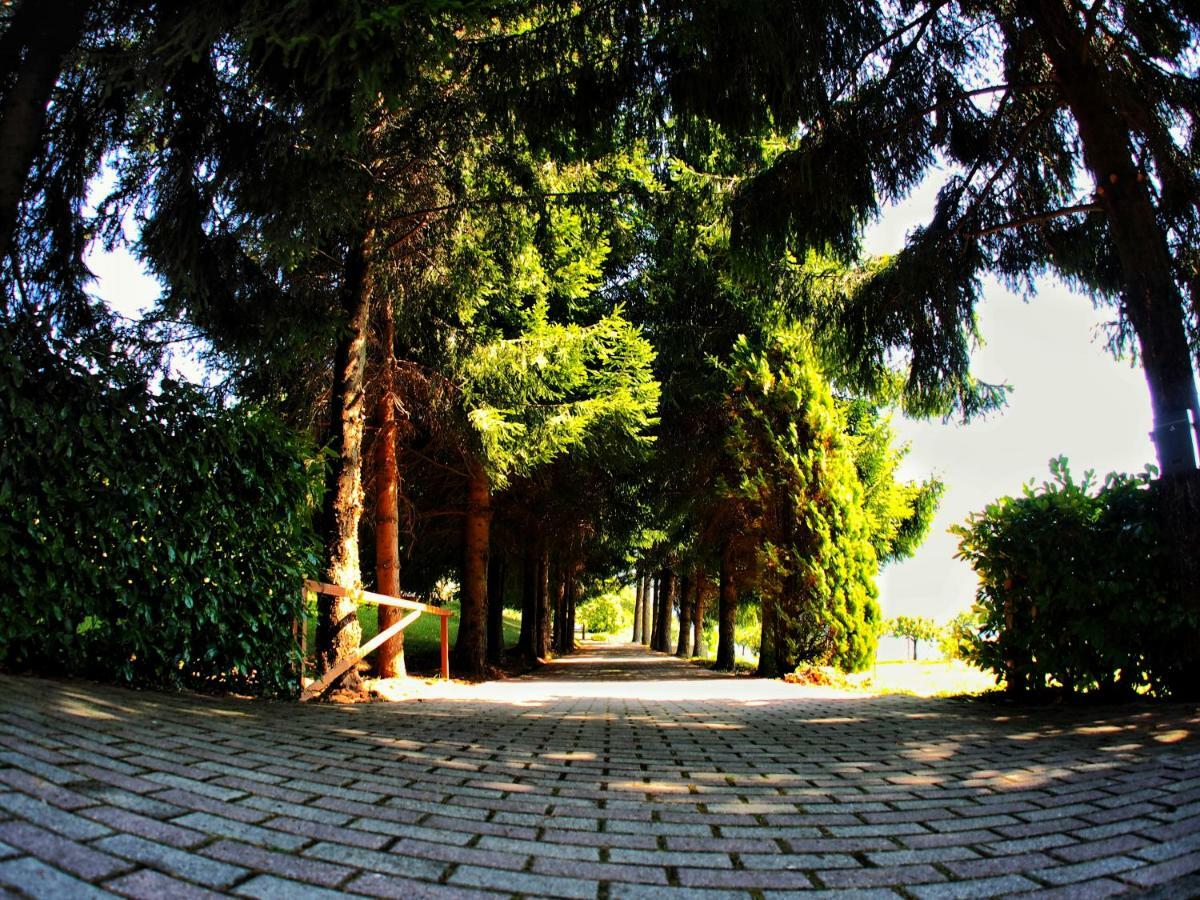 Casa Vacanza Pratolungo Villa Zogno Exterior photo